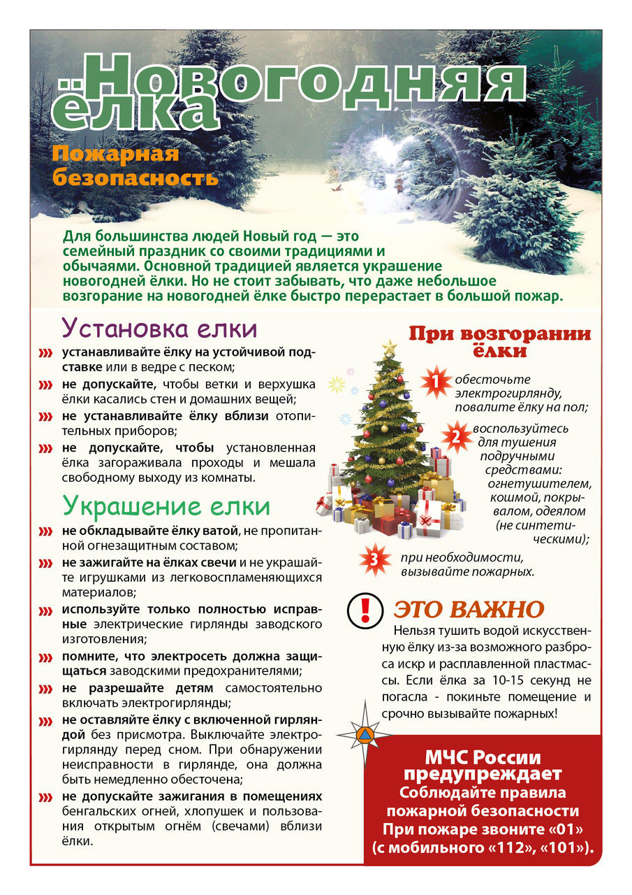 Отдел надзорной деятельности и профилактической работы  Тихвинского района НАПОМИНАЕТ! Правила поведения в общественных местах во время проведения Новогодних Ёлок