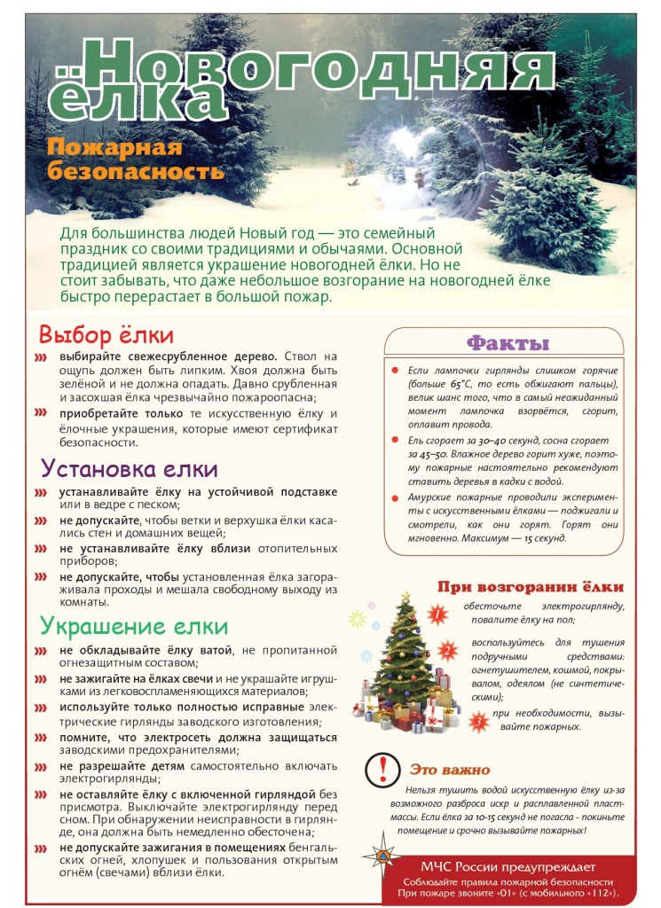 Памятки "Безопасный Новый год"