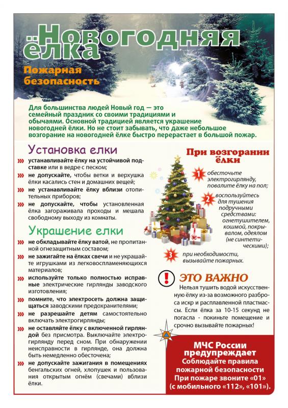 Отдел надзорной деятельности и профилактической работы  Тихвинского района НАПОМИНАЕТ! Правила поведения в общественных местах во время проведения Новогодних Ёлок