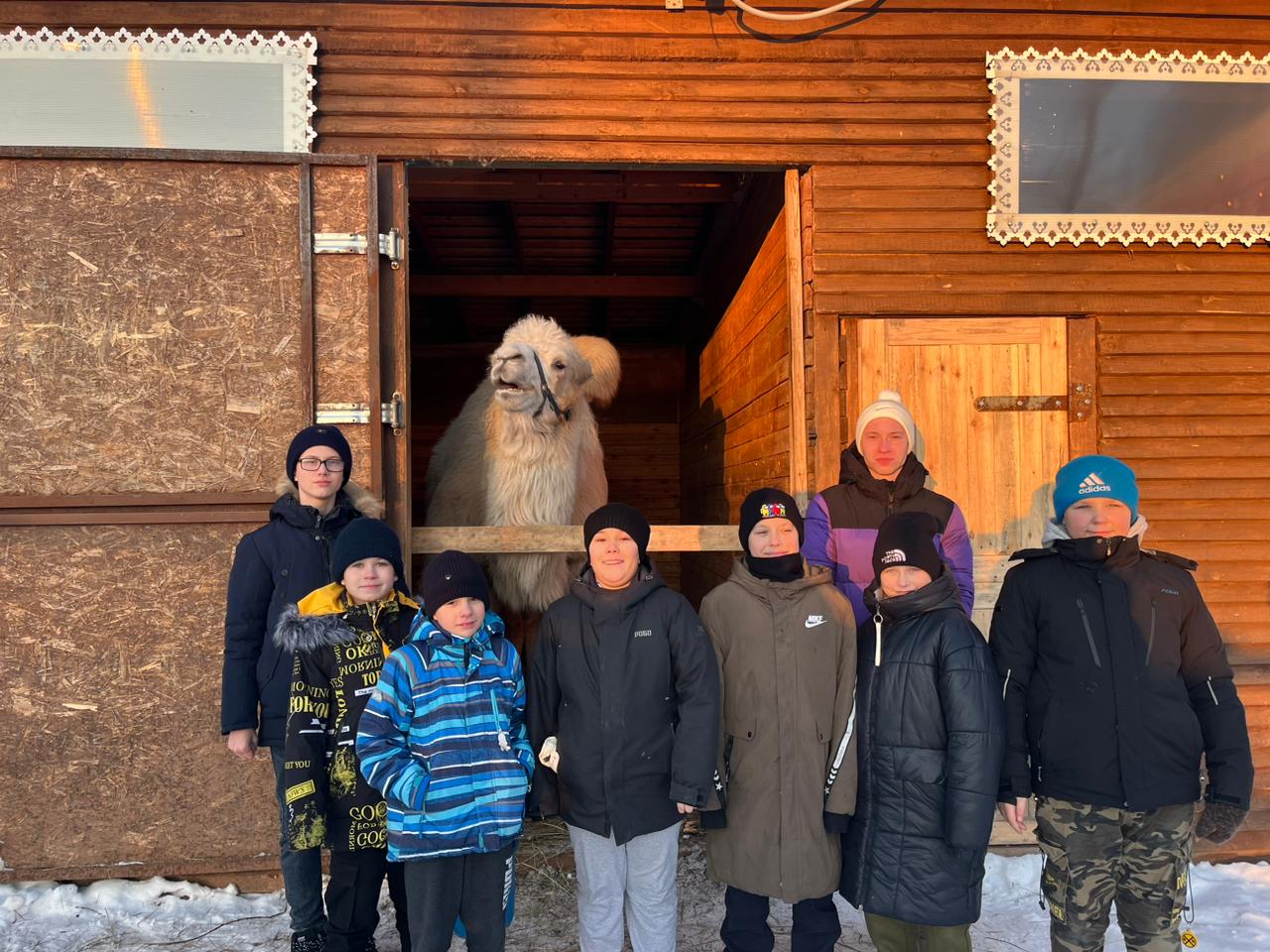 Дети и лошади