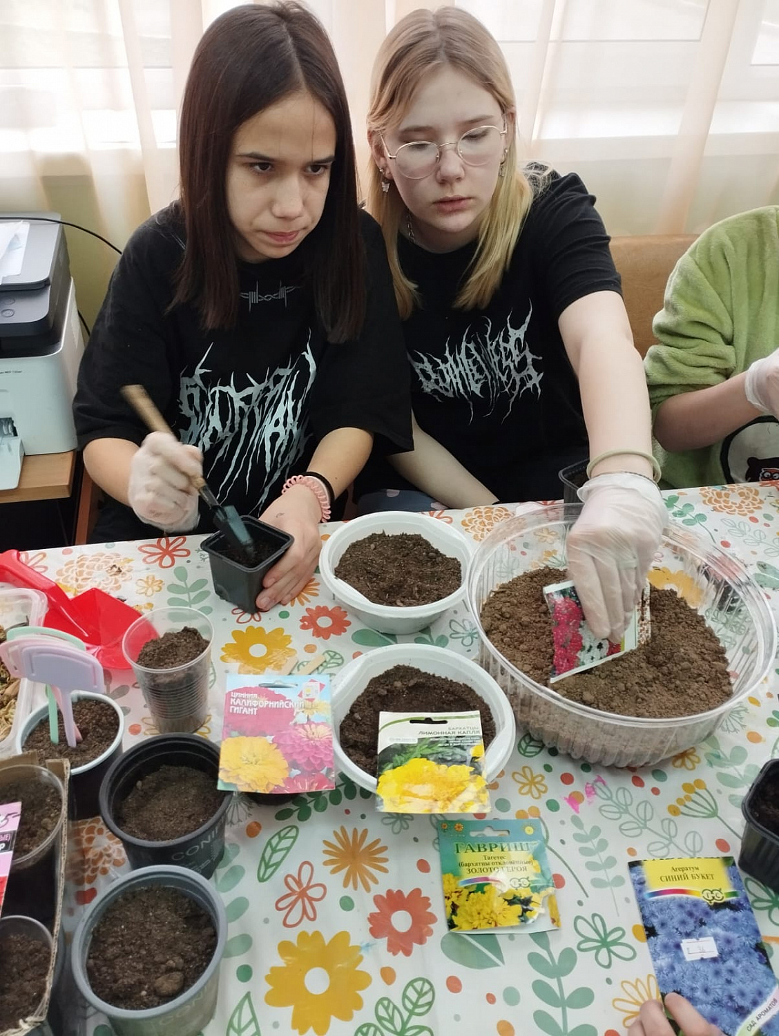 Учимся сажать цветы