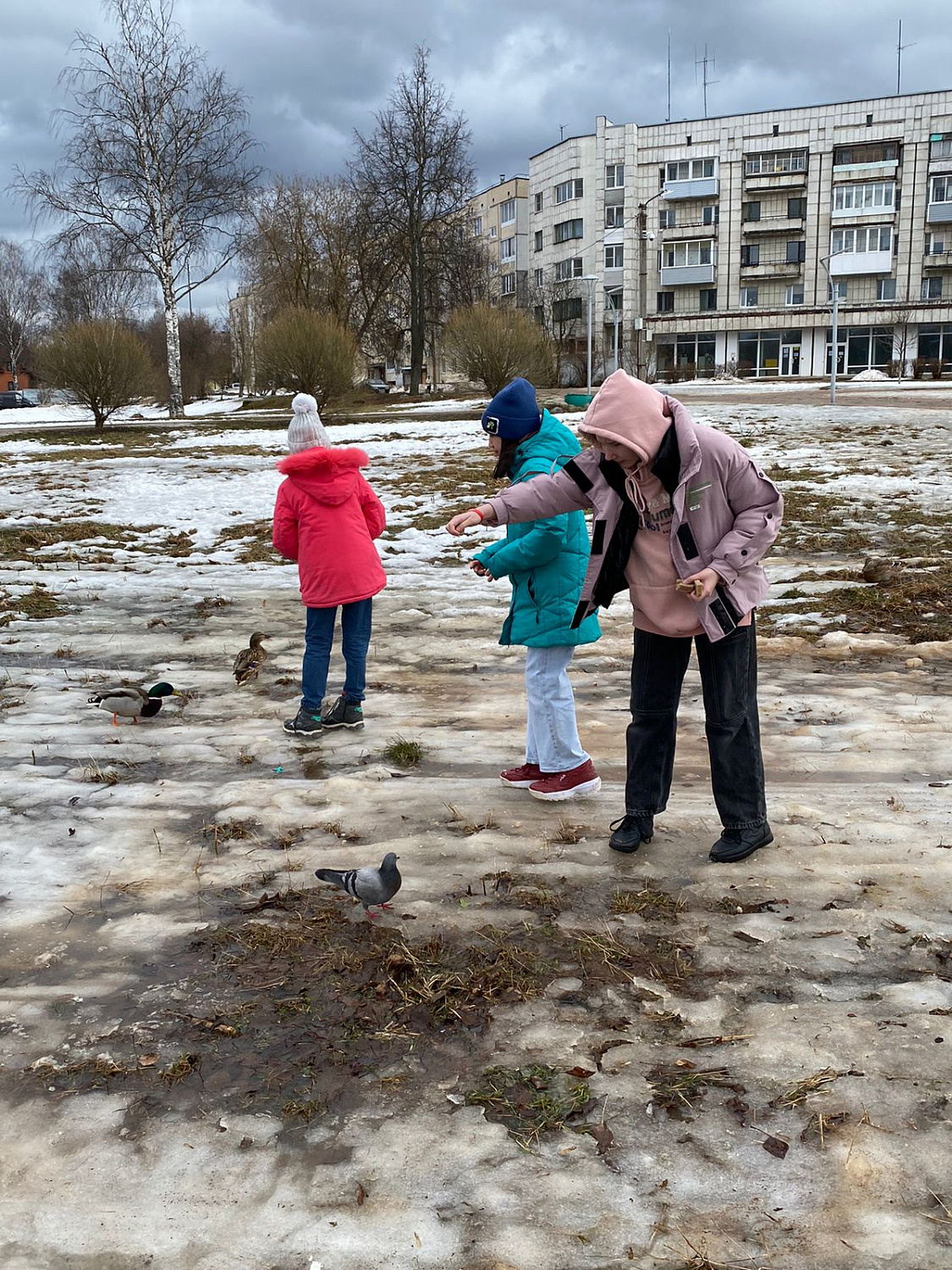 Не дразните собак, не пугайте кошек, не жалейте для птиц ни зерна, ни крошек