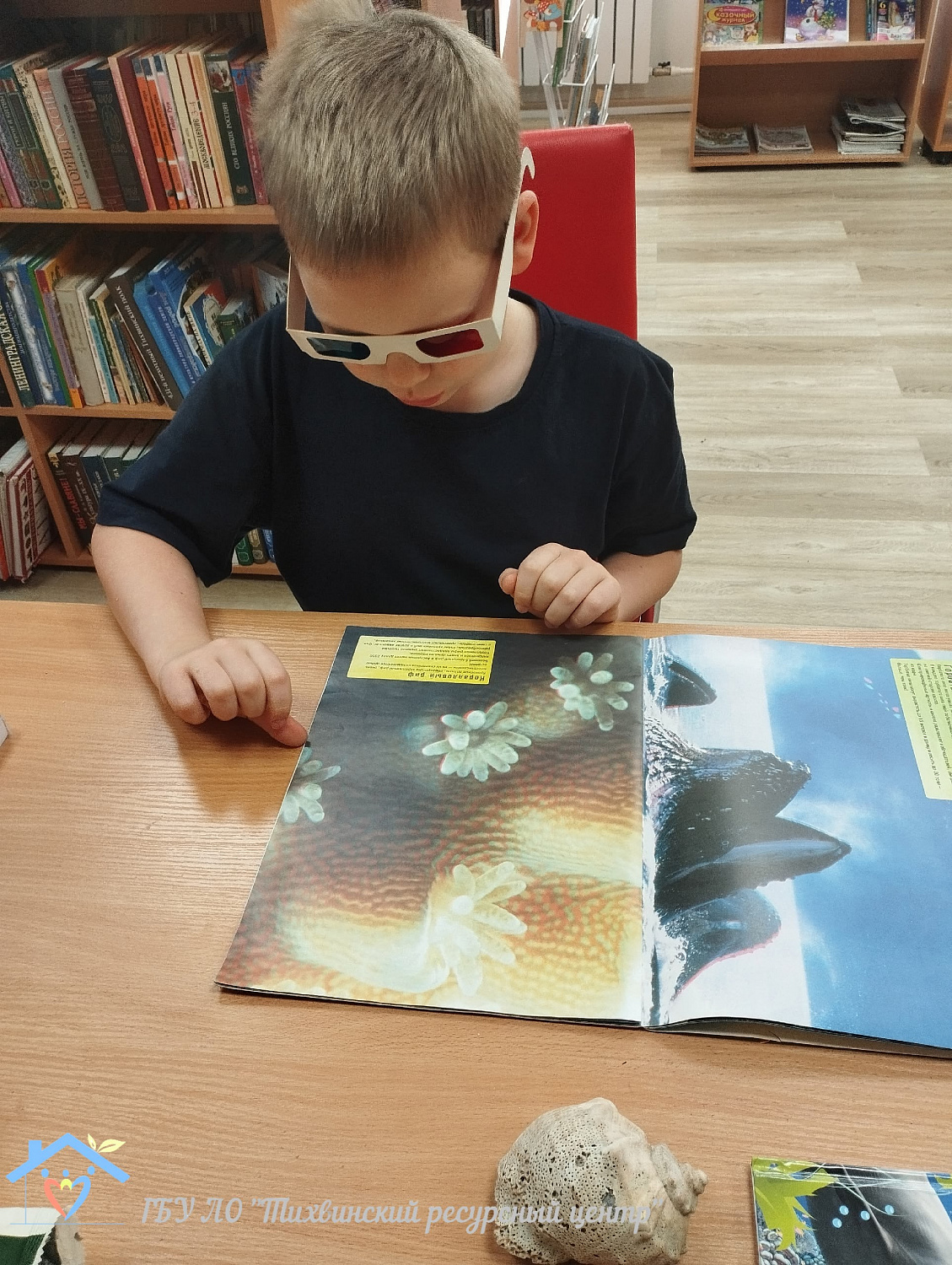Морские тайны: занятие в библиотеке ко Дню моря