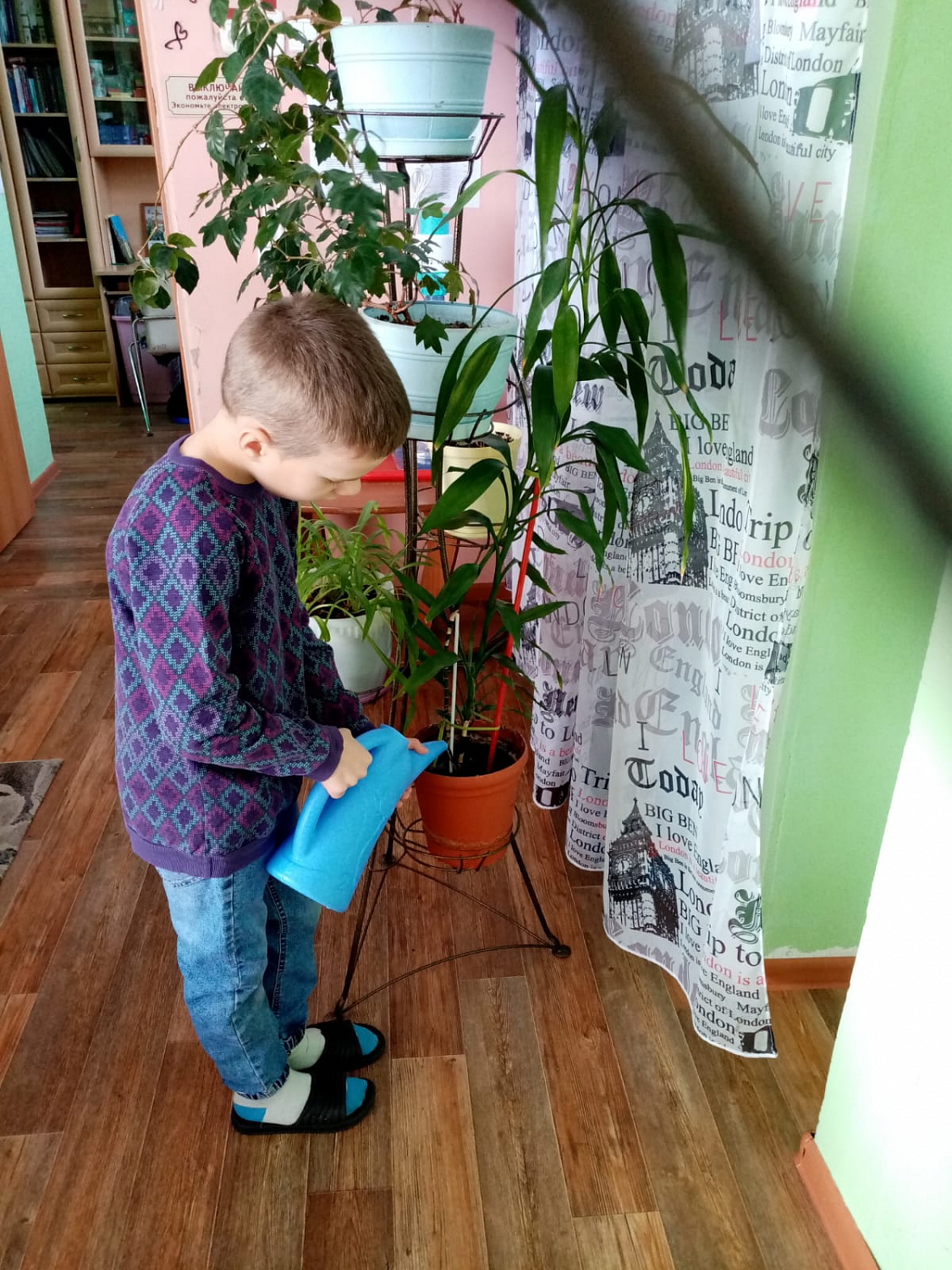 Уход за комнатными растениями